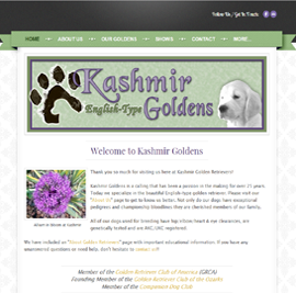 Kashmir Goldens